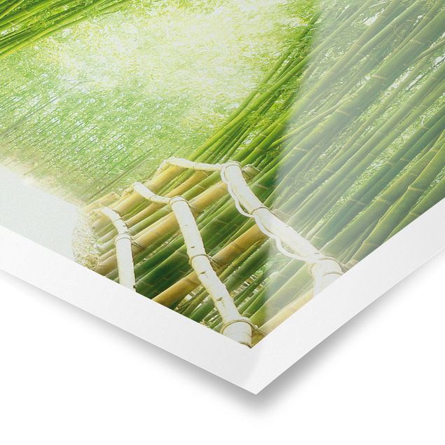 Posters paisagens Bamboo Way