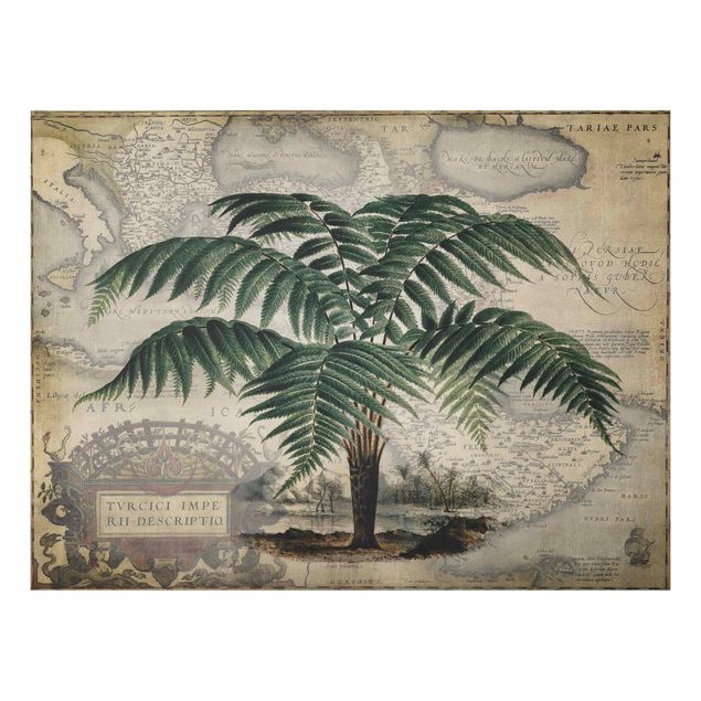 Quadros paisagens Vintage Collage - Palm And World Map