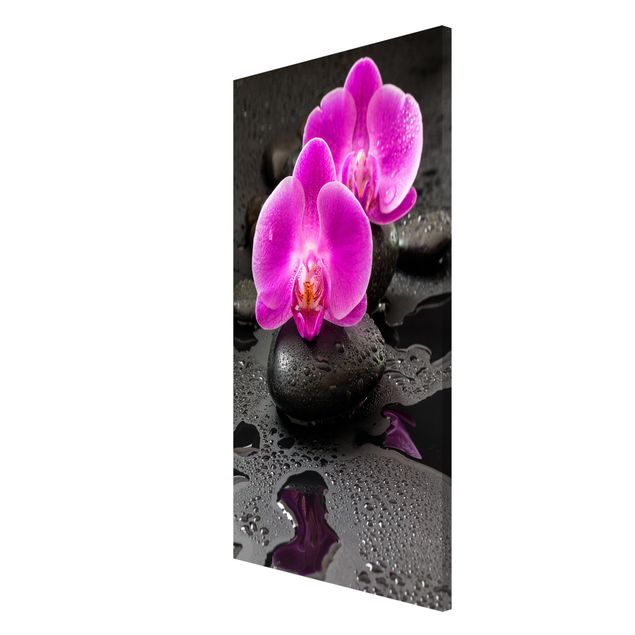 Quadros magnéticos flores Pink Orchid Flower On Stones With Drops
