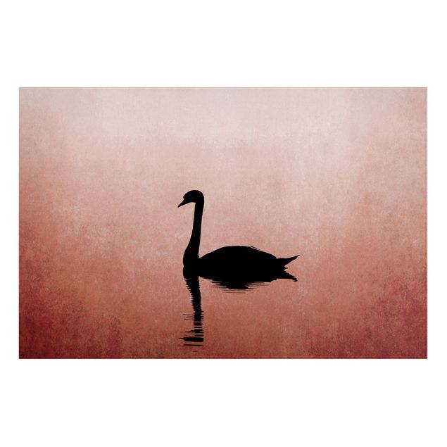 quadro com paisagens Swan In Sunset