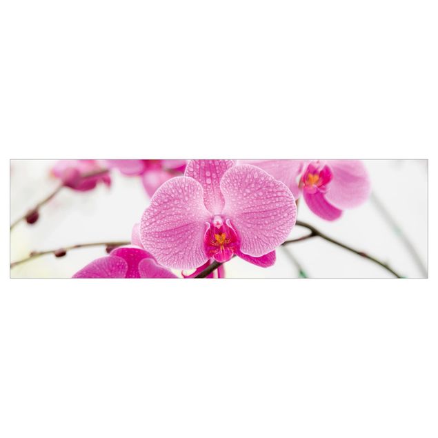 Backsplash de cozinha Close-Up Orchid