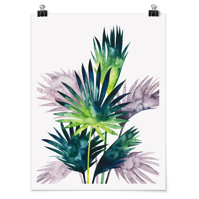 quadro com flores Exotic Foliage - Fan Palm