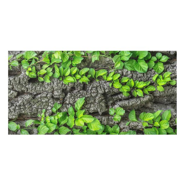 Painel anti-salpicos de cozinha Ivy Tree Bark