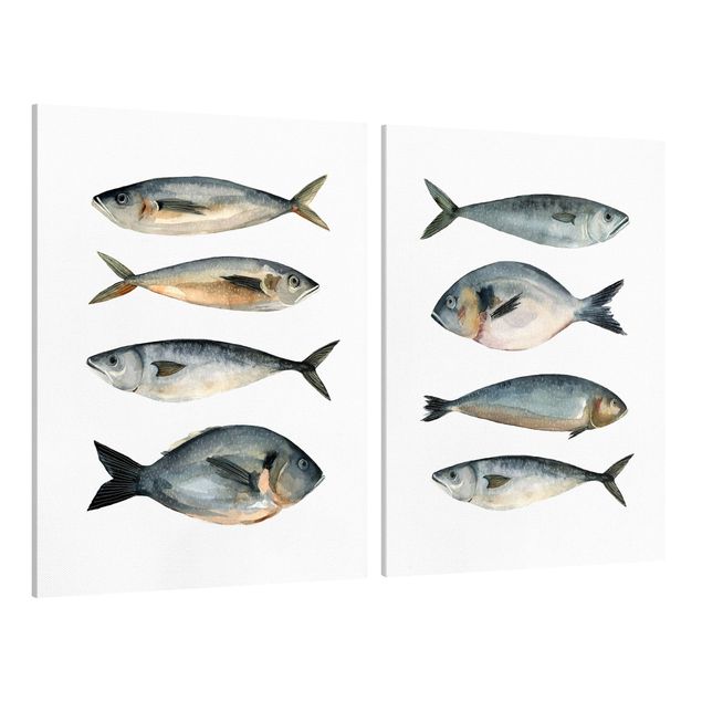 Telas decorativas animais Eight Fish In Watercolour Set I