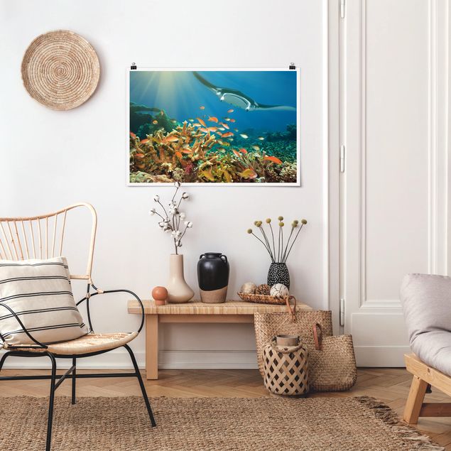 quadro com paisagens Coral reef