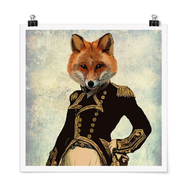 Posters animais Animal Portrait - Fox Admiral