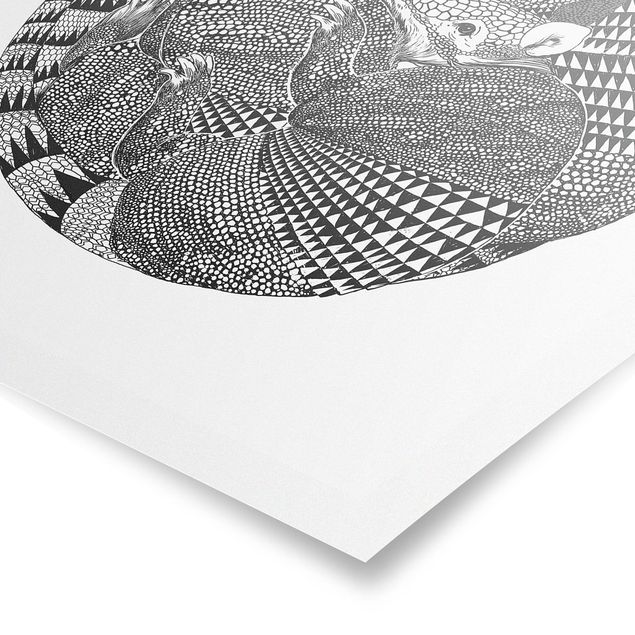 Quadros preto e branco Illustration Armadillos Black And White Pattern