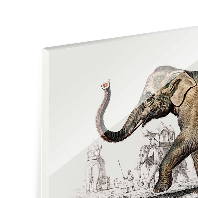 Quadros em marrom Vintage Board Elephant