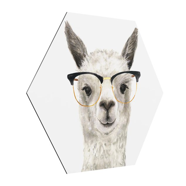 Quadros animais Hip Lama With Glasses I