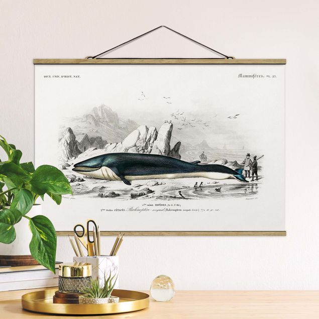 decoraçao para parede de cozinha Vintage Board Blue Whale