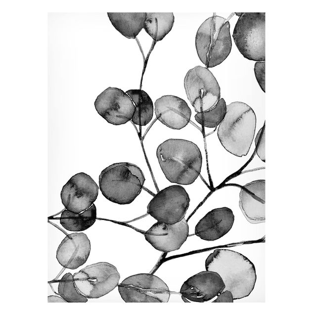 Quadros magnéticos flores Black And White Eucalyptus Twig Watercolour
