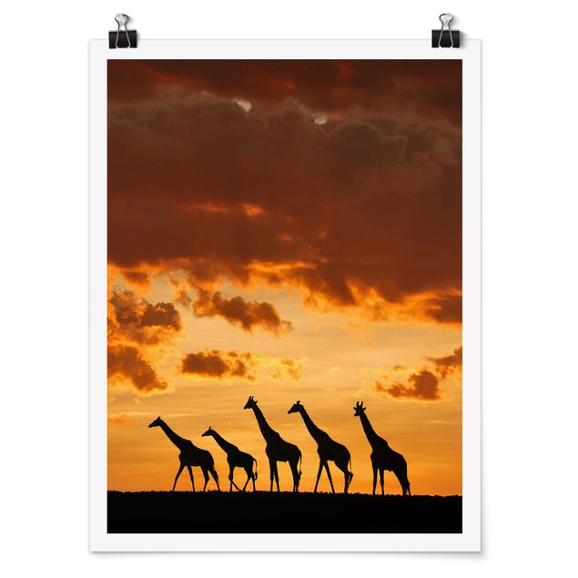 Quadros África Five Giraffes
