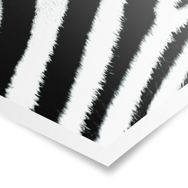 Quadros padrões Zebra Crossing