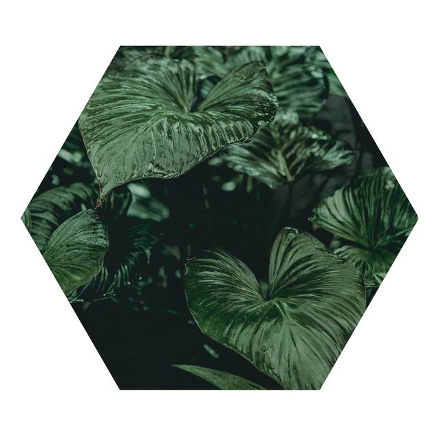 Quadros hexagonais Tropical Plants I