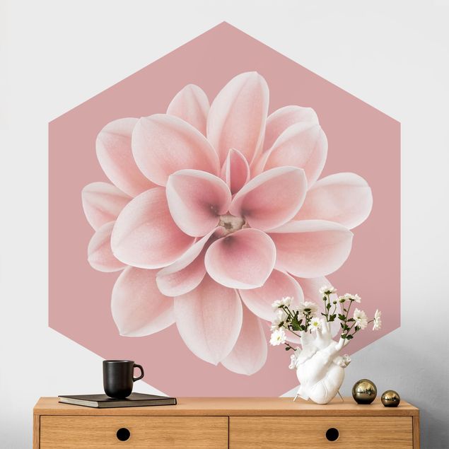 decoraçao para parede de cozinha Dahlia On Blush Pink