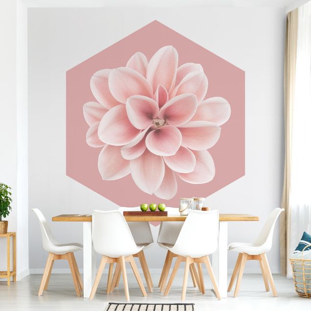papel de parede floral Dahlia On Blush Pink