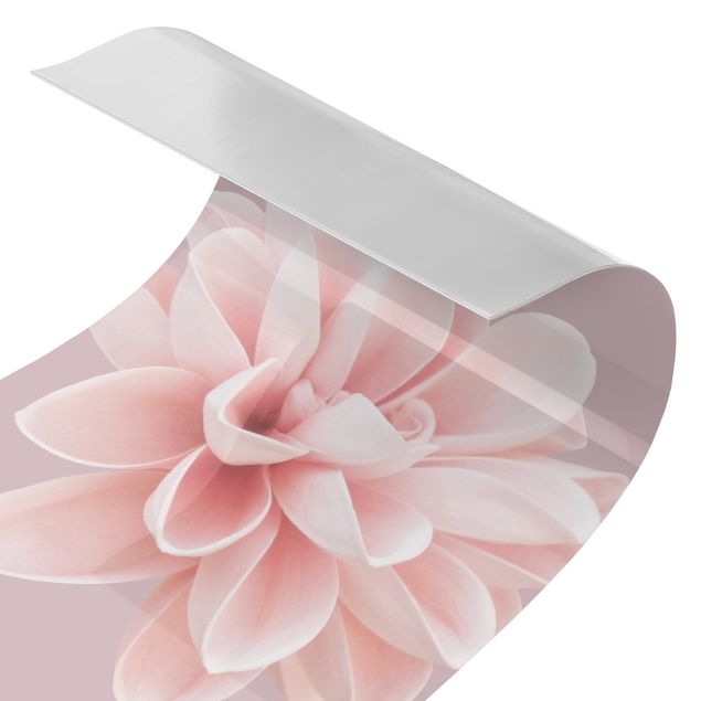 Revestimento de parede para duche Dahlia Flower Lavender Pink White