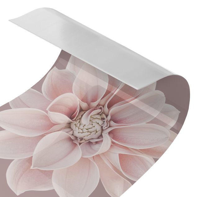 Revestimento de parede para duche Dahlia Flower Lavender White Pink