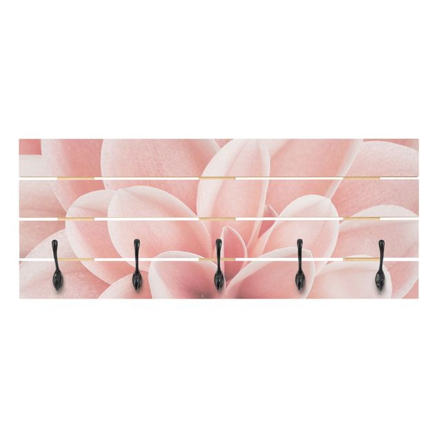 Cabides de parede em rosa Dahlia Pink Petals Detail