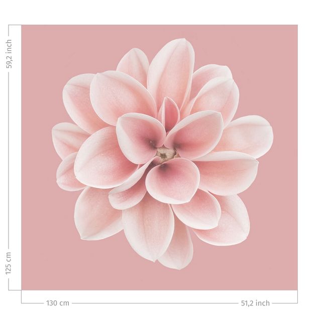 cortina sob medida Dahlia Pink Blush Flower Centered