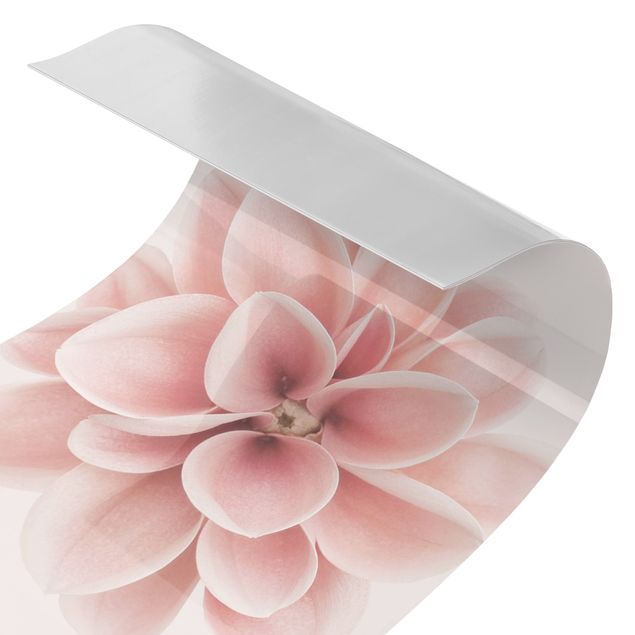 Revestimento de parede para duche Dahlia Pink Pastel Flower Centered