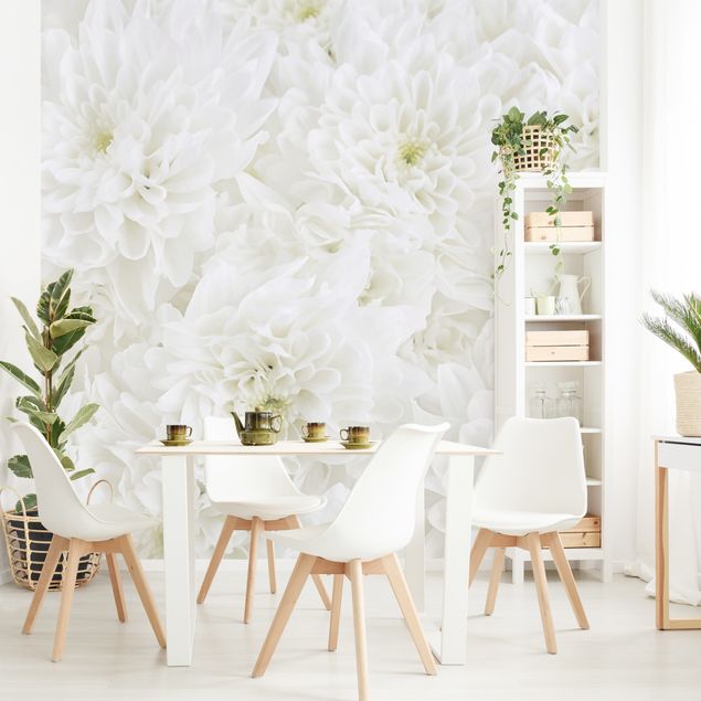 papel parede de flor Dahlias Sea Of Flowers White