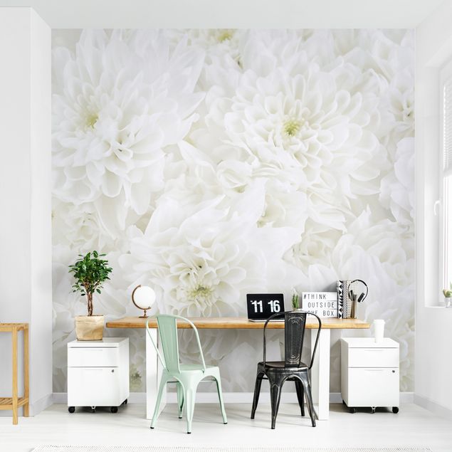 papel de parede em branco Dahlias Sea Of Flowers White