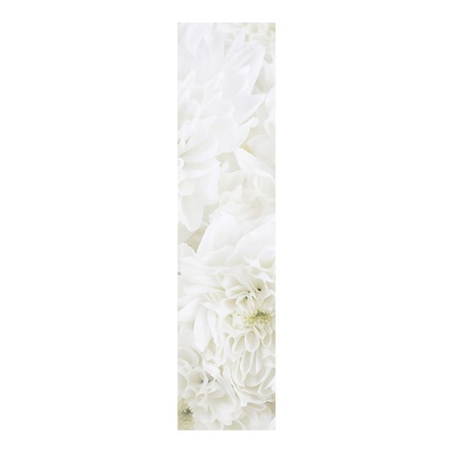 Painéis japoneses flores Dahlias Sea Of Flowers White