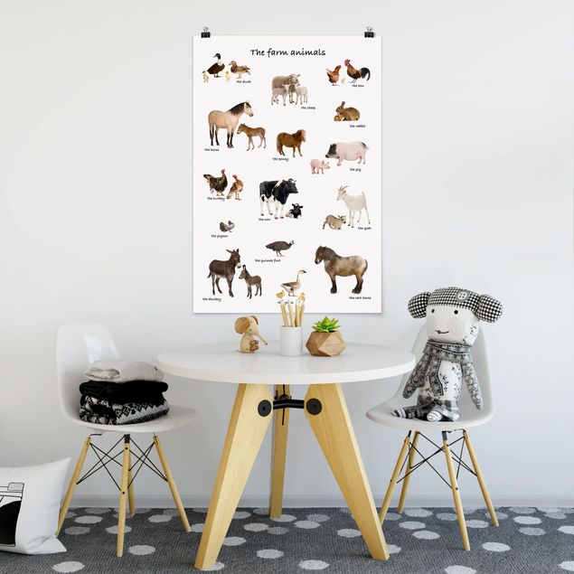 Posters animais Farm Animals