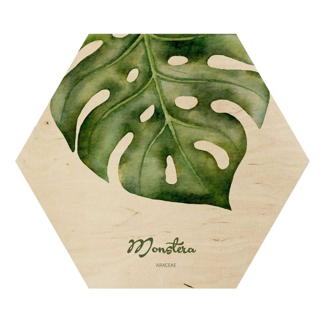 quadros em madeira para decoração Watercolour Botany Monstera