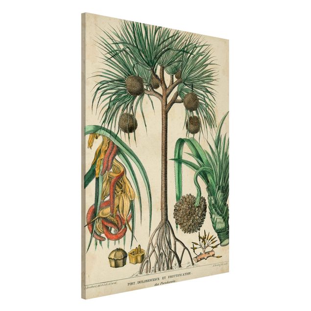 decoraçao cozinha Vintage Board Exotic Palms I