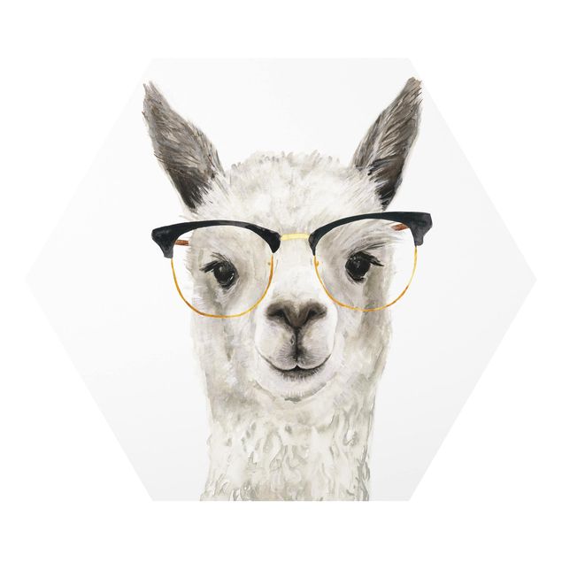 Quadros forex Hip Lama With Glasses I