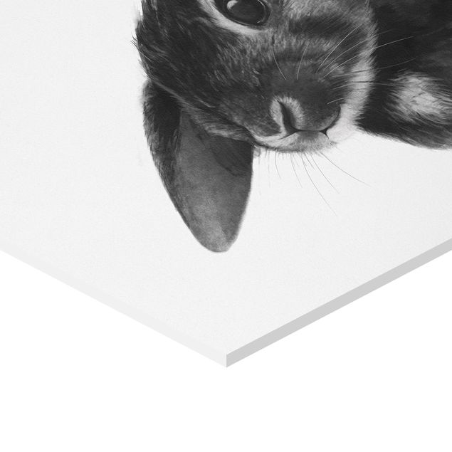 Quadros hexagonais Illustration Rabbit Black And White Drawing