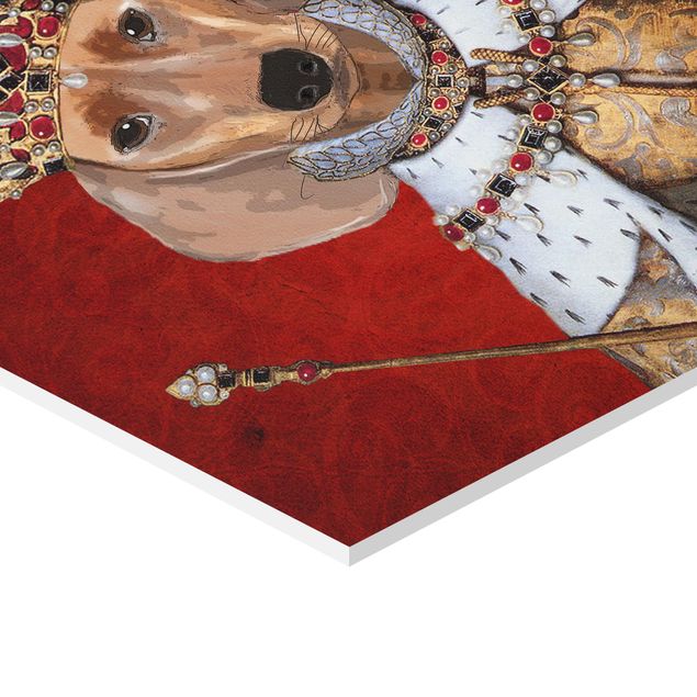 Quadros decorativos Animal Portrait - Dachshund Queen
