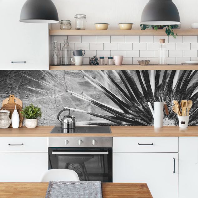 Backsplash de cozinha flores Dandelion Black & White