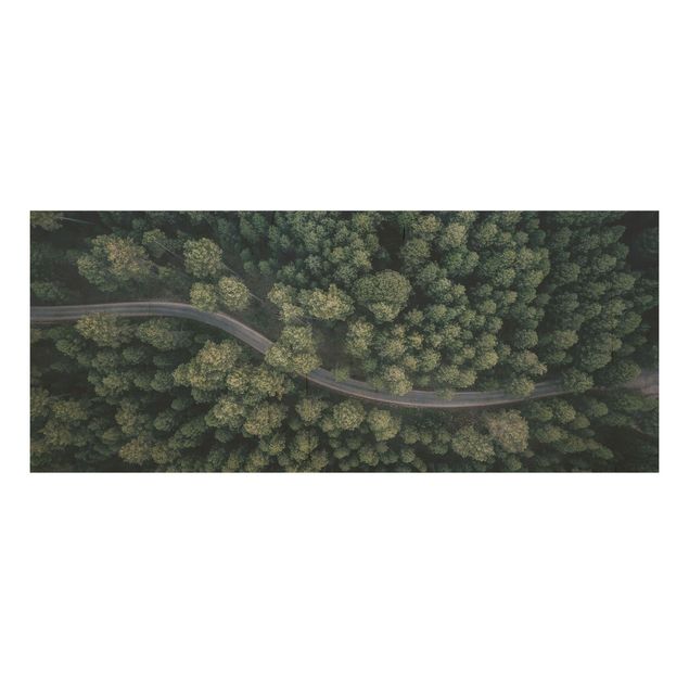 Quadros em madeira paisagens Aerial View - Forest Road From The Top