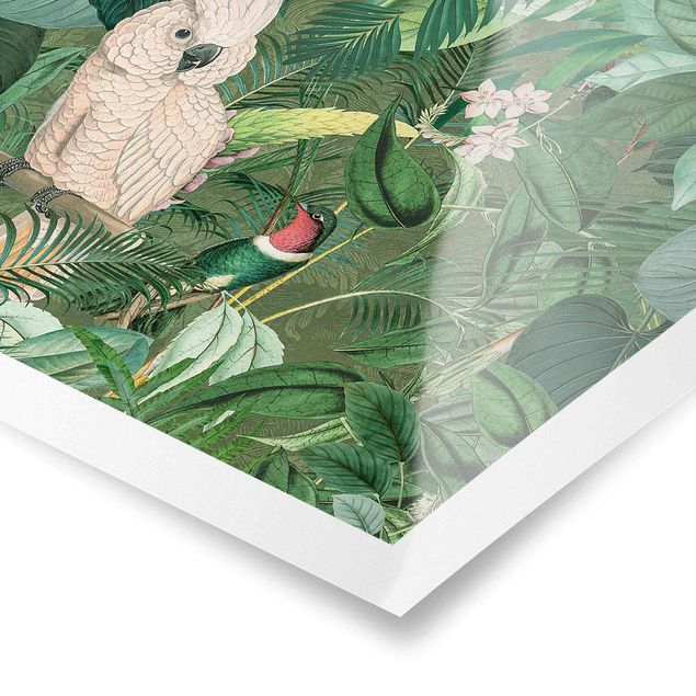 Quadros de Andrea Haase Vintage Collage - Kakadu And Hummingbird