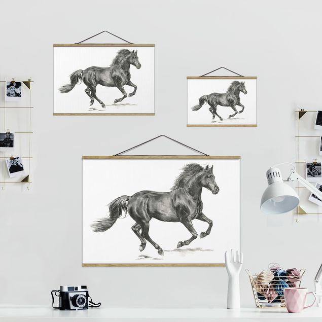 quadros em preto e branco Wild Horse Trial - Stallion