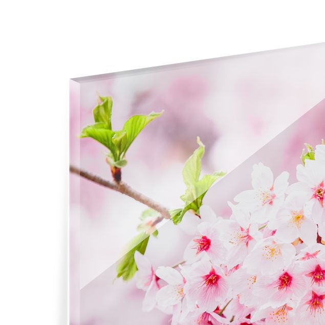 Painel anti-salpicos de cozinha Japanese Cherry Blossoms