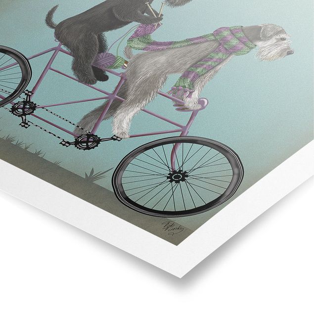 Posters vintage Cycling - Schnauzer Tandem