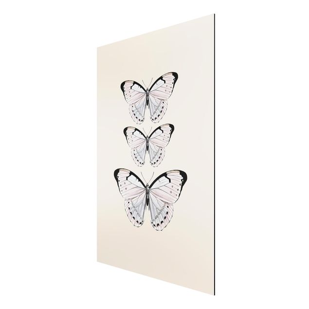 quadros decorativos para sala modernos Butterfly On Beige