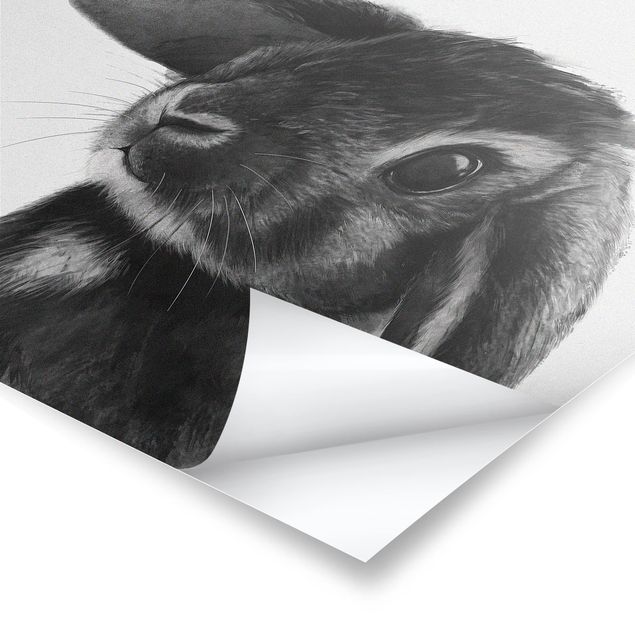 Quadros decorativos Illustration Rabbit Black And White Drawing