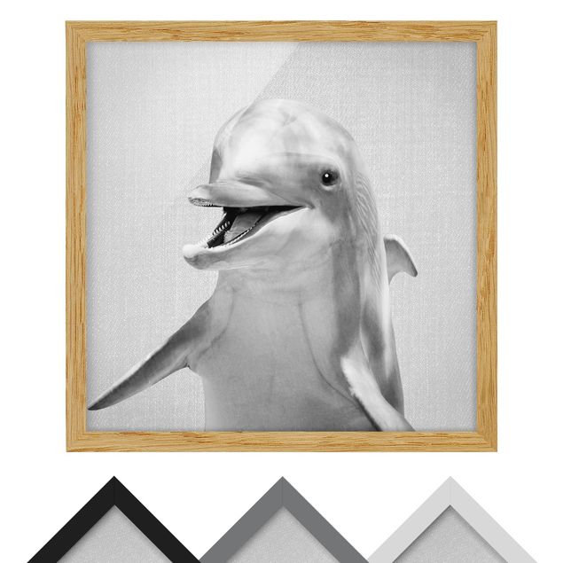 quadros preto e branco para decoração Dolphin Diddi Black And White