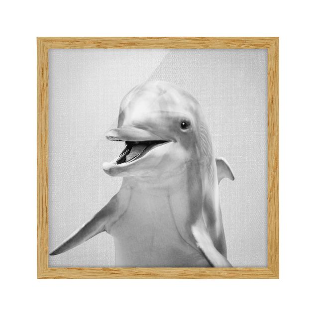 Quadros com moldura animais Dolphin Diddi Black And White