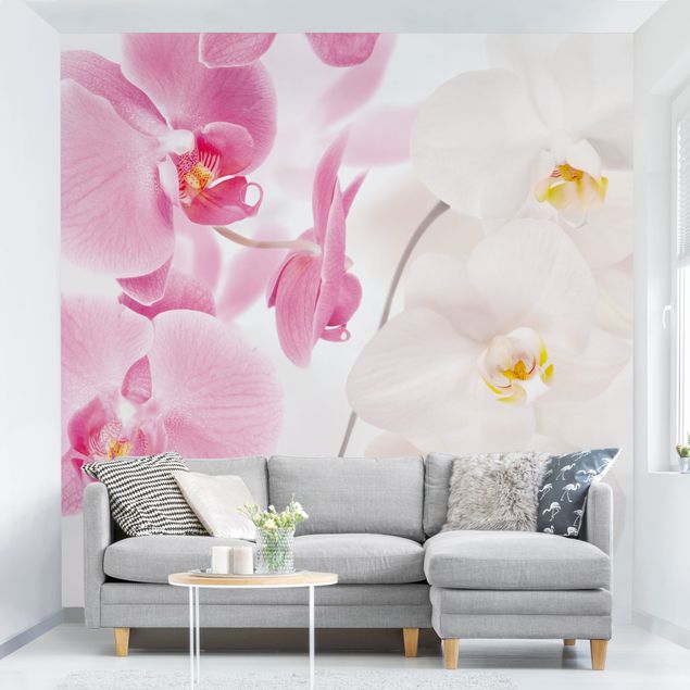 Papel de parede orquídeas Delicate Orchids