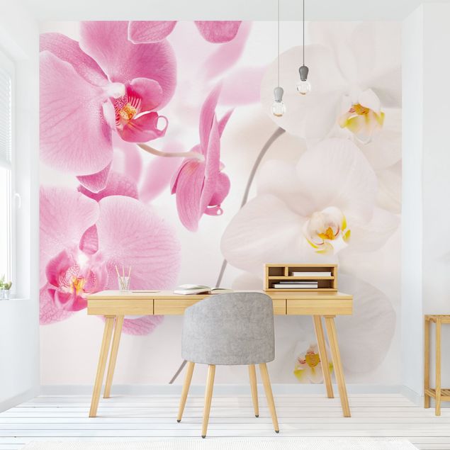 papel parede de flor Delicate Orchids