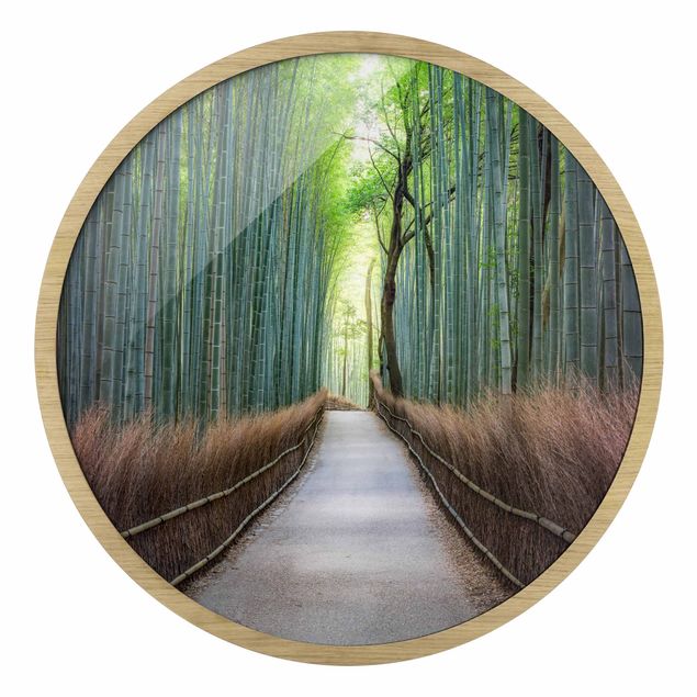 Quadros redondos The Path Through The Bamboo