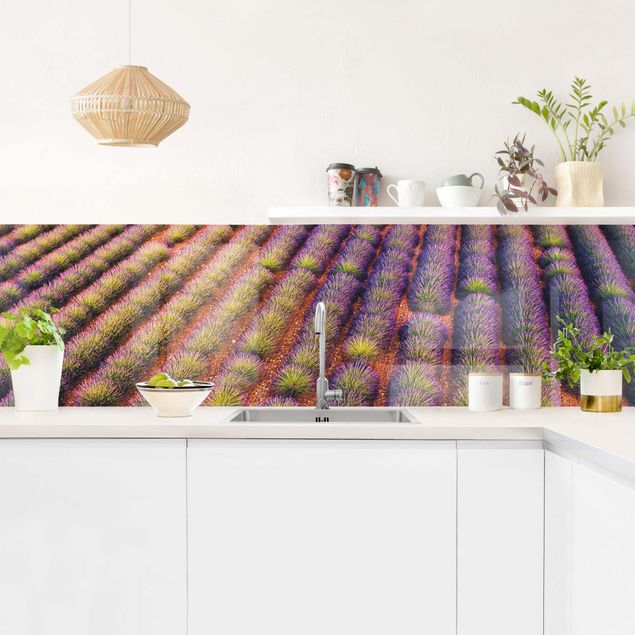 Backsplash de cozinha flores Picturesque Lavender Field