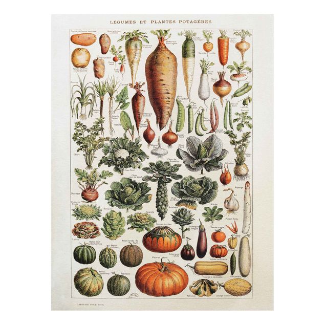 Quadros legumes Vintage Board Vegetables