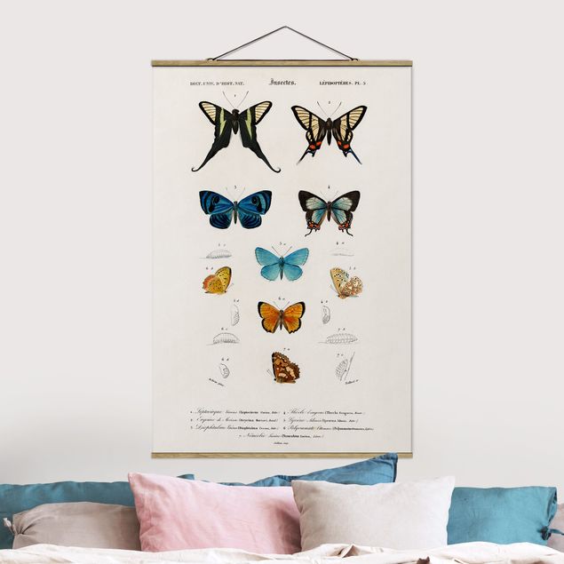 decoraçoes cozinha Vintage Board Butterflies I